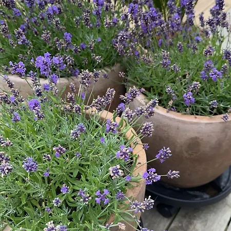 Villa Beautiful Gem In A Quiet Setting