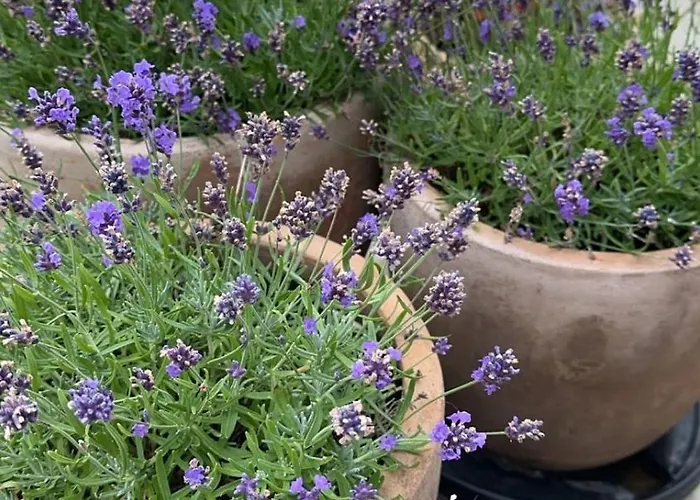 Villa Beautiful Gem In A Quiet Setting